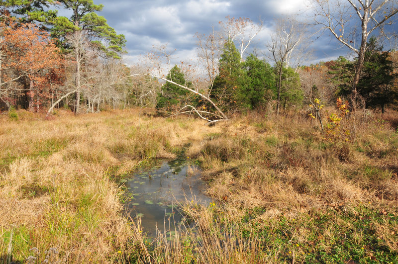Robbers Cave, Latimer County