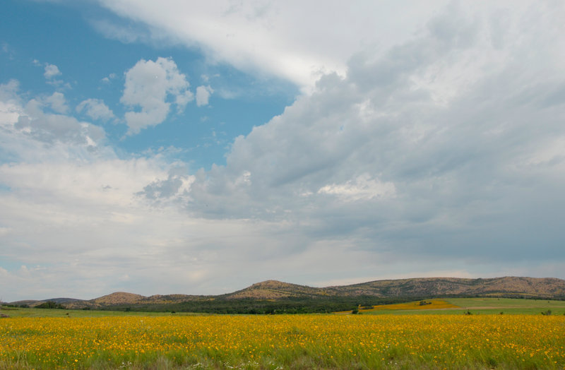 Wichita Mountains Wildlife Refuge 3